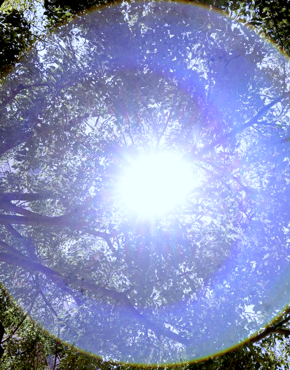 Le chamanisme des Andes